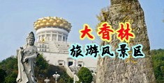 鸡巴抽插女小穴视频中国浙江-绍兴大香林旅游风景区